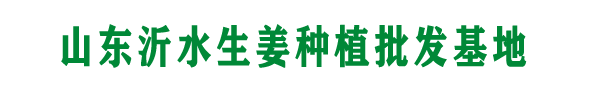 沂水县生姜种植基地